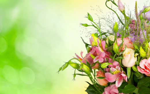 1015894 (a): :2880x1800
